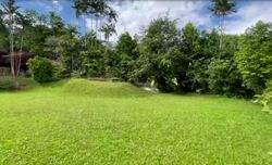 Sanny Park (D11), Detached #568231021